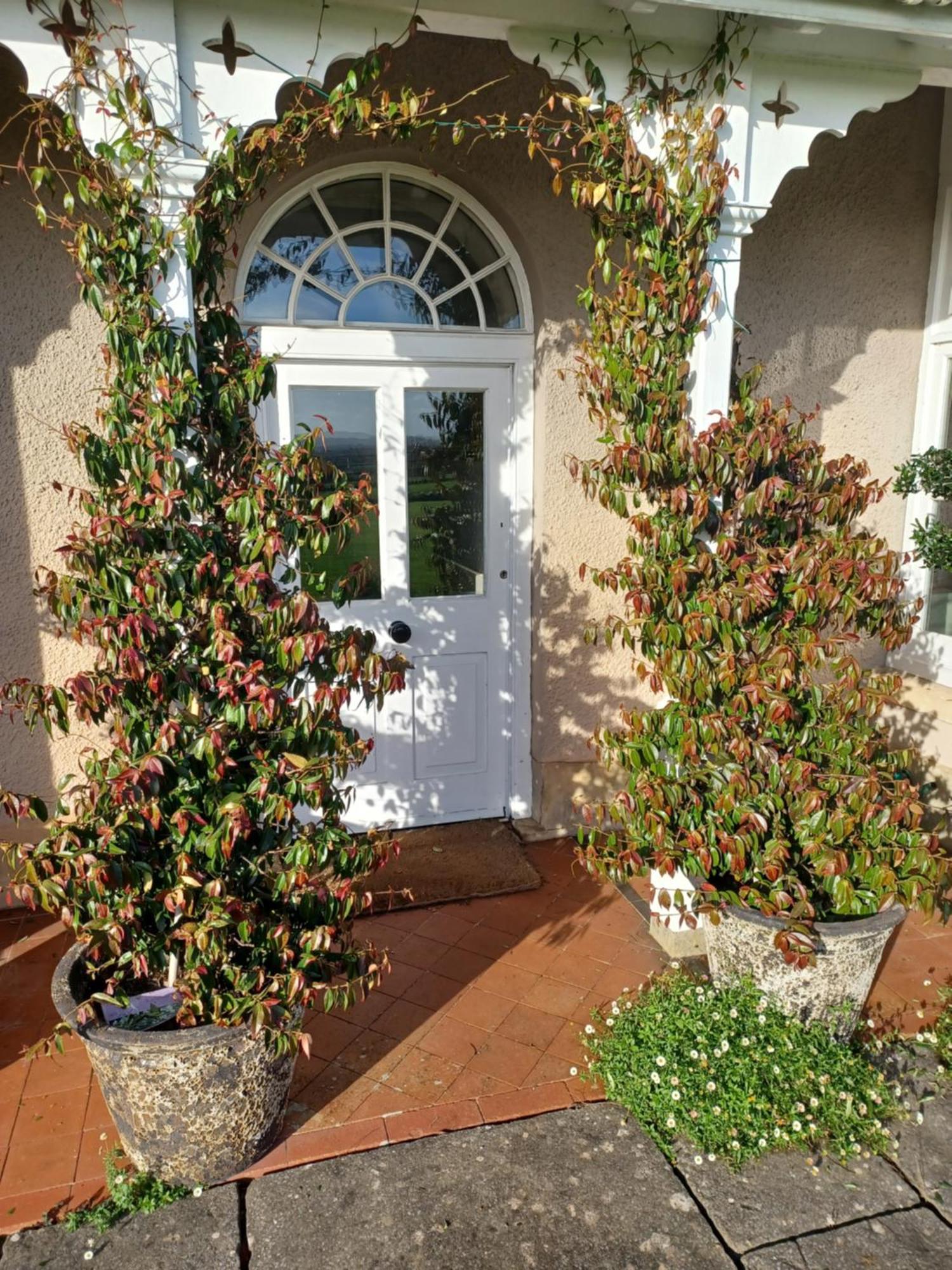 Bed and Breakfast Rusling House Butcombe Екстер'єр фото